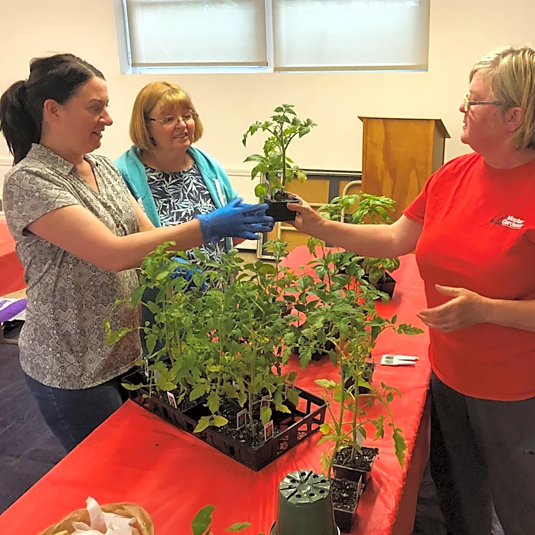 Ontario County master gardeners will help you get ready for fall