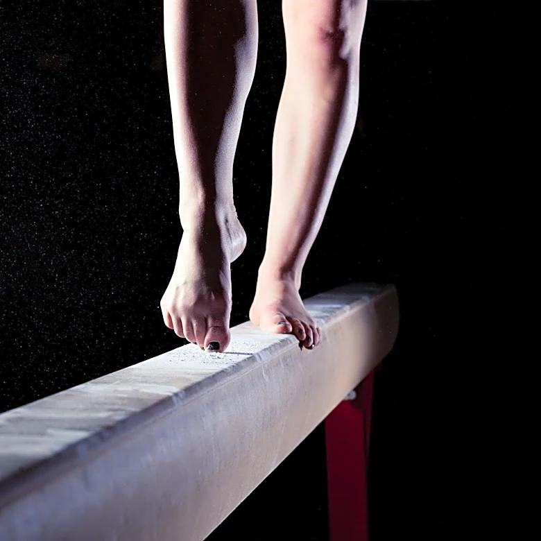 Section V gymnastics results for the 2026 season