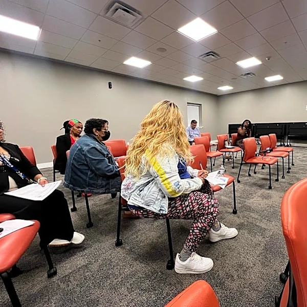 Rochester residents raise concerns over zoning overhaul
