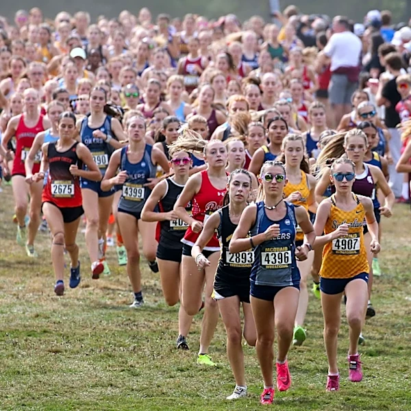 Section V cross country runners to watch at McQuaid Invitational