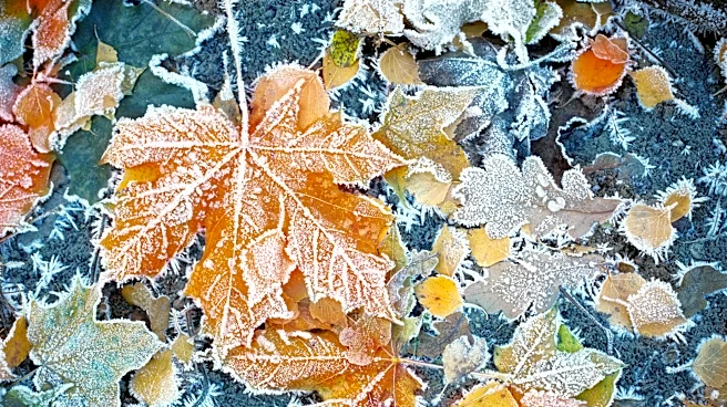 First frost of fall possible in parts of New York this week. See where