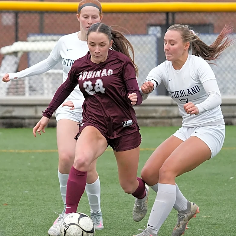 21 Section V girls soccer teams featured in New York state rankings