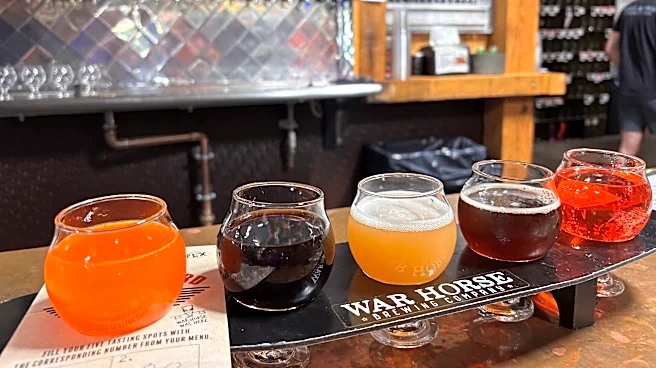 Where to go for apple picking, hard cider in the Finger Lakes