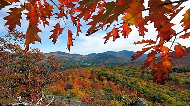 When New York's fall foliage will peak: Best times to see autumn colors by region