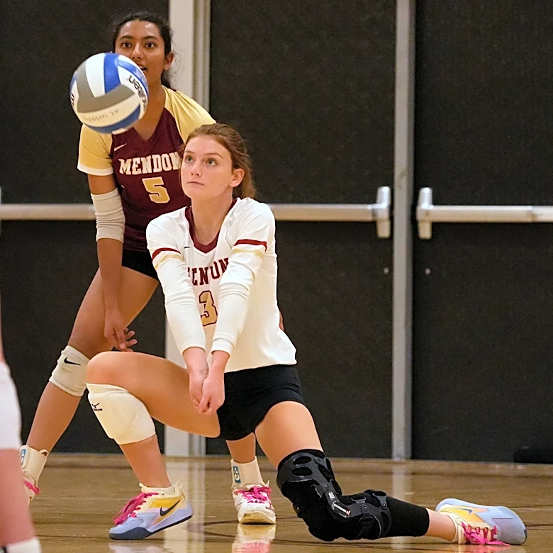 Section V lands 21 teams in latest girls volleyball rankings
