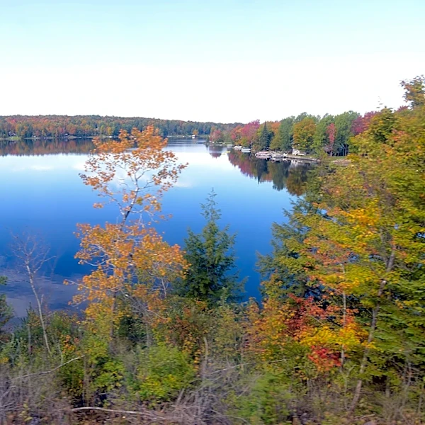 Best fall foliage train rides in New York: 5 scenic routes to try