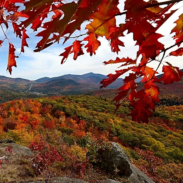 Adirondacks named best fall foliage destination in U.S. for 2026