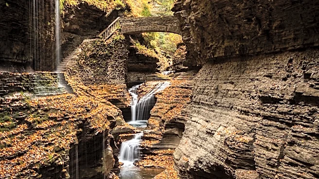 7 best fall foliage spots in New York's Finger Lakes to visit this autumn