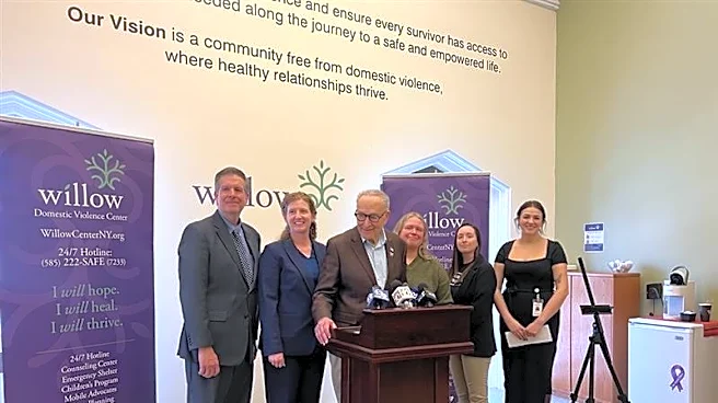 Domestic violence up 38% in Monroe County. Advocates seek answers