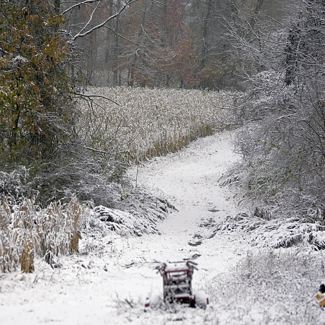 New York could see its first snowfall of the season this weekend. Here's where