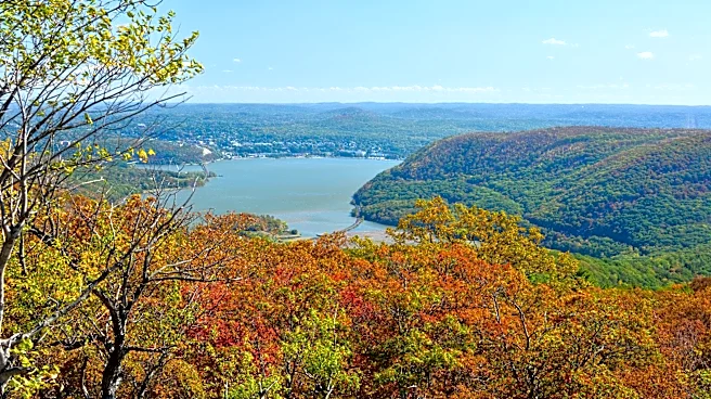 Best fall day trips in NY: 6 places for foliage and scenic views