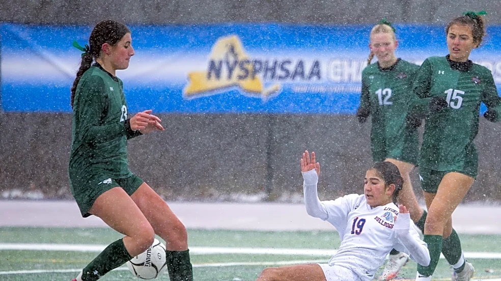 Who will win Section V’s small school girls soccer titles? What to know
