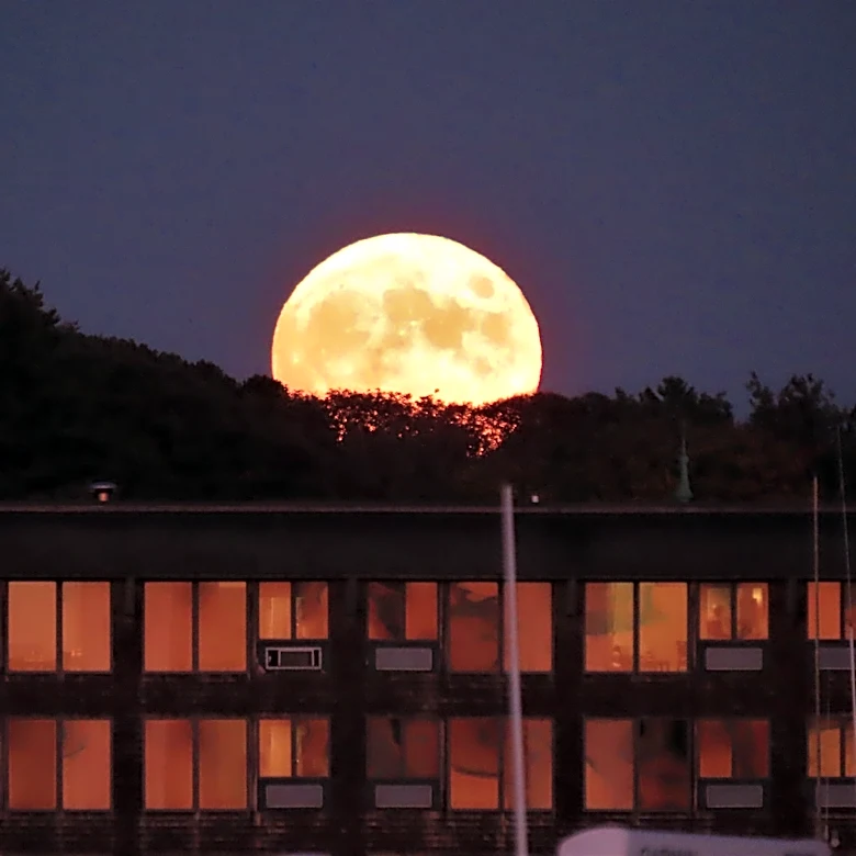 Hunter's Moon 2026: When to see October's full moon