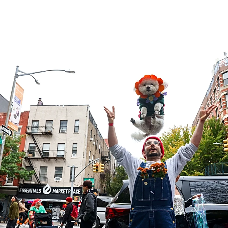NYC named best U.S. city for Halloween. See where Buffalo ranks