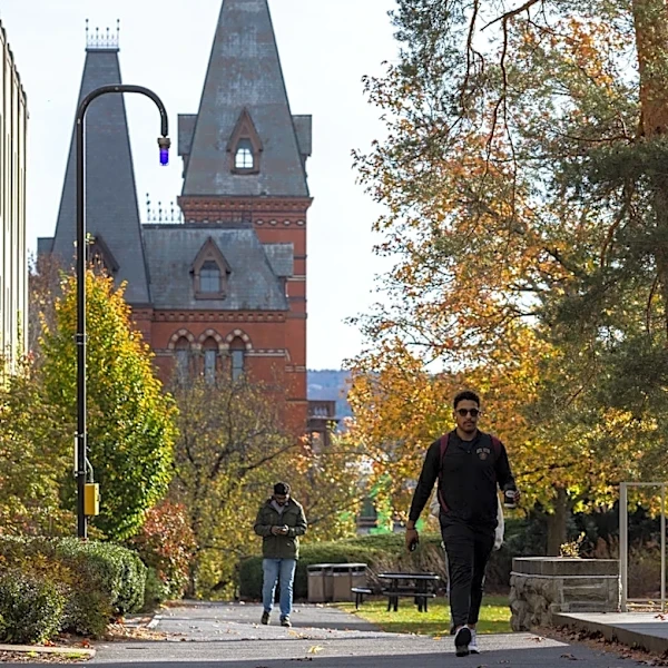 These are New York's top 10 colleges, according to TIME