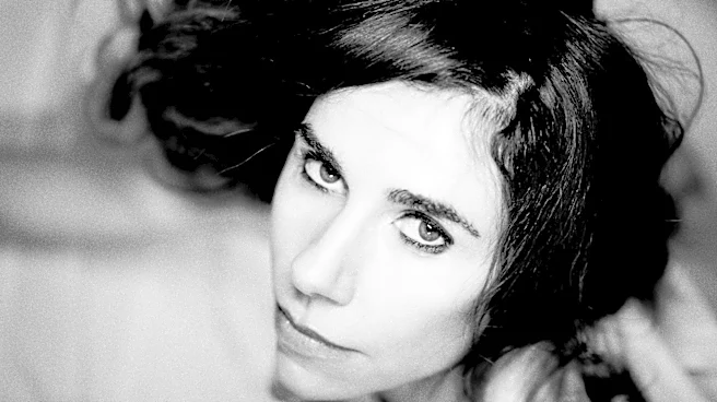 PJ Harvey Imagines What ‘Voyager’ Spacecraft Thinks of Earth on Otherworldly New Single
