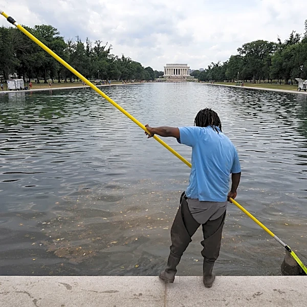 Shocker! Government Docs Show Trump’s Reflecting Pool Vandalism Claims Are Total BS