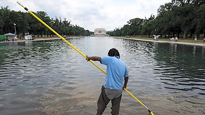 Shocker! Government Docs Show Trump’s Reflecting Pool Vandalism Claims Are Total BS