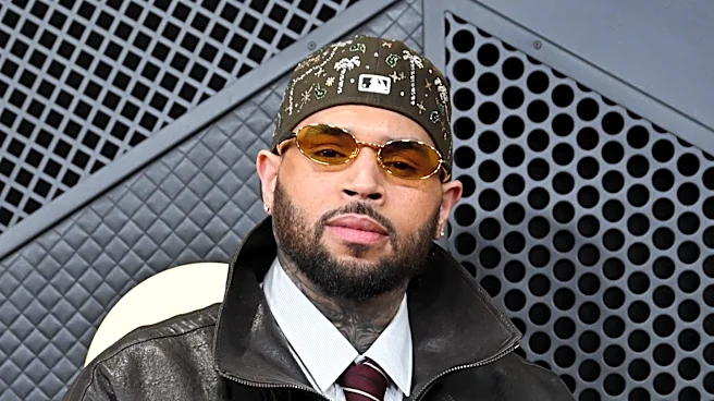 Chris Brown Housekeeper Cries on Stand at Dog Mauling Trial: ‘I Will Never Be the Same Again’