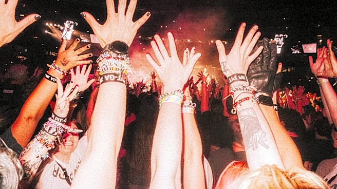 How to Attend a Concert and Not Ruin It for Others