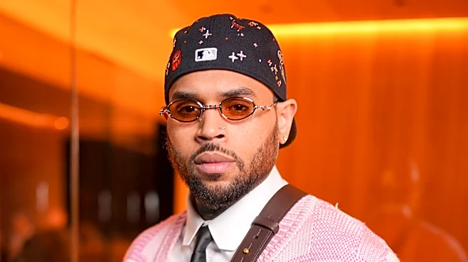 Chris Brown Must Pay Housekeeper $13 Million Over Dog-Mauling Attack