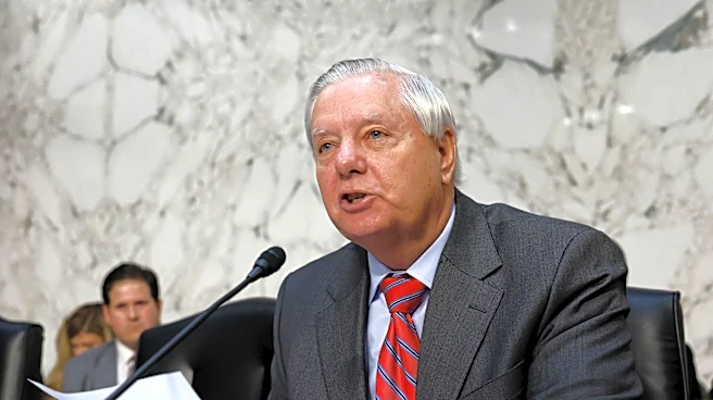 Lindsey Graham, Longtime South Carolina Senator, Dead at 71