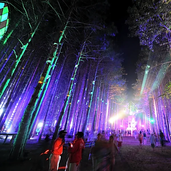 FBI Offers $15,000 Reward in Case of Deceased Newborn at Electric Forest Festival