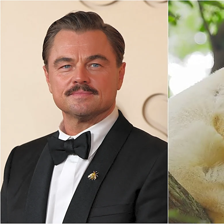 Leonardo DiCaprio and the Bezos Earth Fund Launch Initiative to Recover Critically Endangered Species