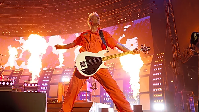 Green Day’s Mike Dirnt to Sell One-of-a-Kind Bass Guitars, Clothing, More on Reverb