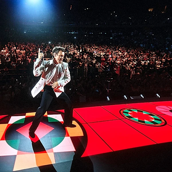 Seven Reasons Why You Should See Harry Styles Right Now