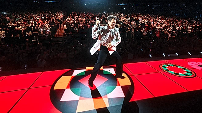 Seven Reasons Why You Should See Harry Styles Right Now