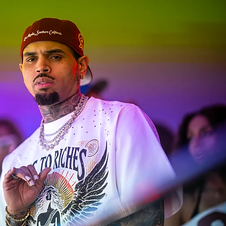 Judge Poised to Slash $12.9 Million Jury Award in Chris Brown Dog Mauling Case