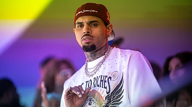 Judge Poised to Slash $12.9 Million Jury Award in Chris Brown Dog Mauling Case