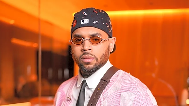 Chris Brown Will Get New Dog Attack Trial, But Only If Housekeeper Rejects Reduced $9.5 Million Award