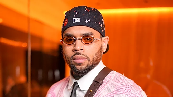 Chris Brown Housekeeper Accepts Reduced $9.5 Million Award for Dog Mauling