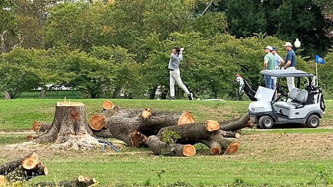 Judge Tears Into Trump Admin. for Cutting Down D.C. Trees: ‘Beyond Upset and Furious’