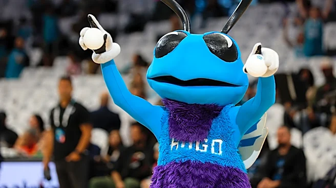 Hornets vs. Nets preseason: How to watch, projected lineups, broadcast info