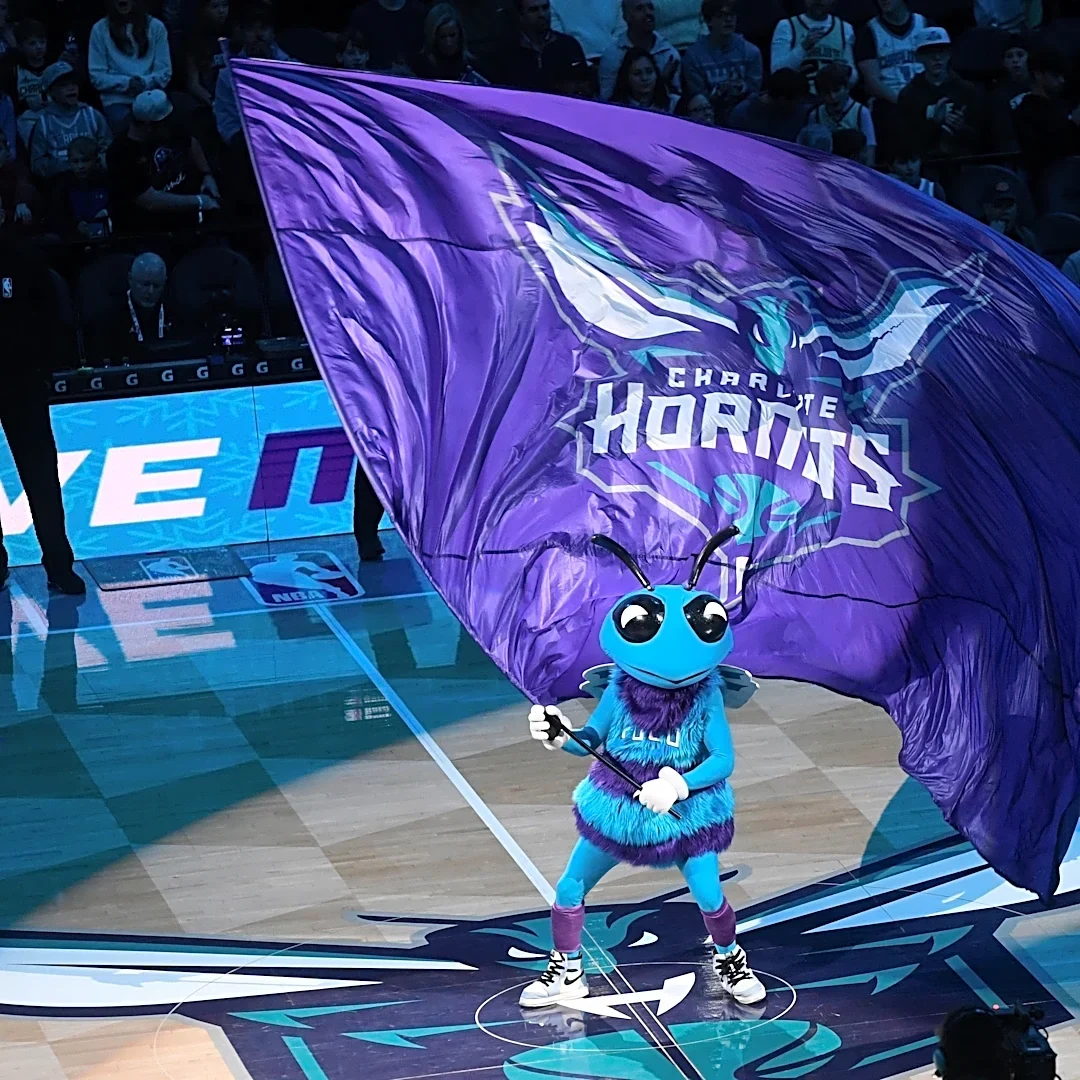 Hornets vs. Grizzlies preseason: How to watch, projected lineups and more