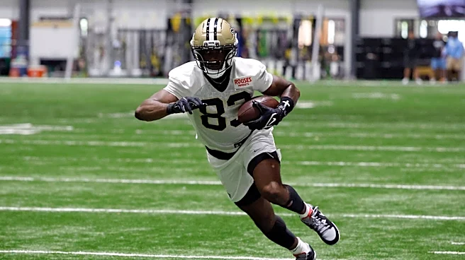 PFF unimpressed by Juwan Johnson's career year, ranking him 18th at TE