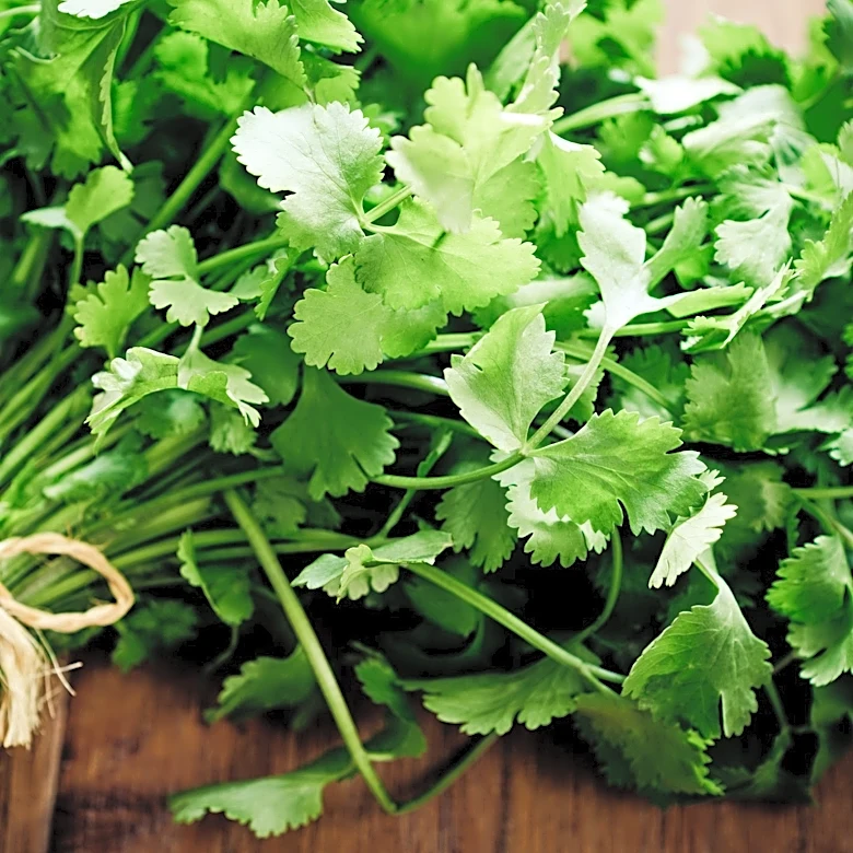 2 confirmed Cyclospora cases reported in Sarasota. How to avoid it