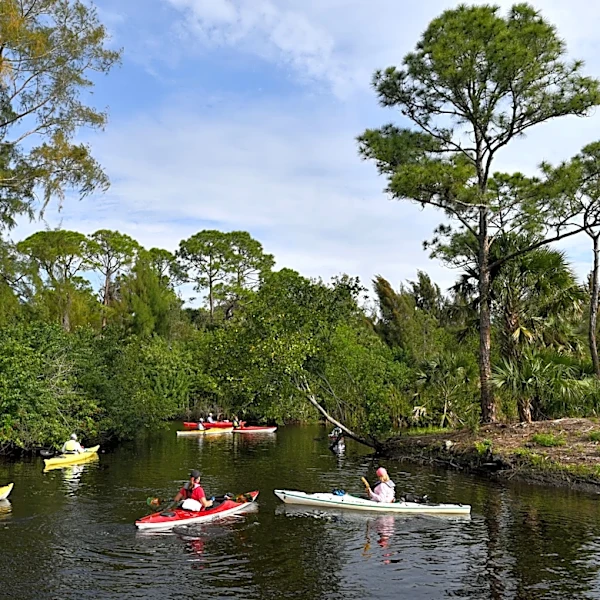 Voters to decide on advancing push to protect land in Sarasota County