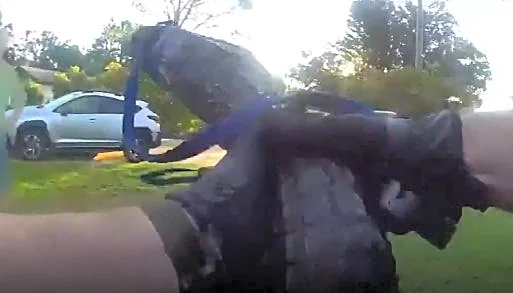 Bodycam video shows Florida deputy wrestling gator in 'rite of passage'