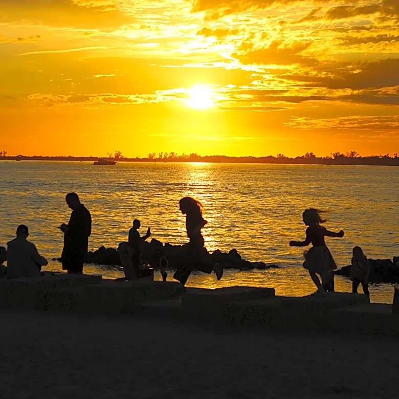 The Bay Park in Sarasota seeks new funding to support vision