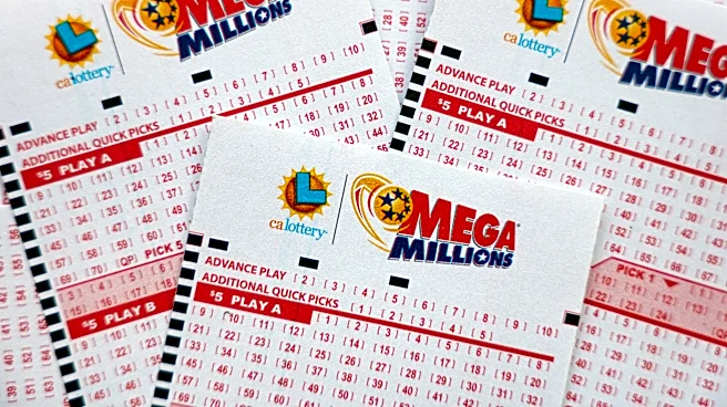 Florida Mega Millions winner: About that $800 million ticket from Wawa