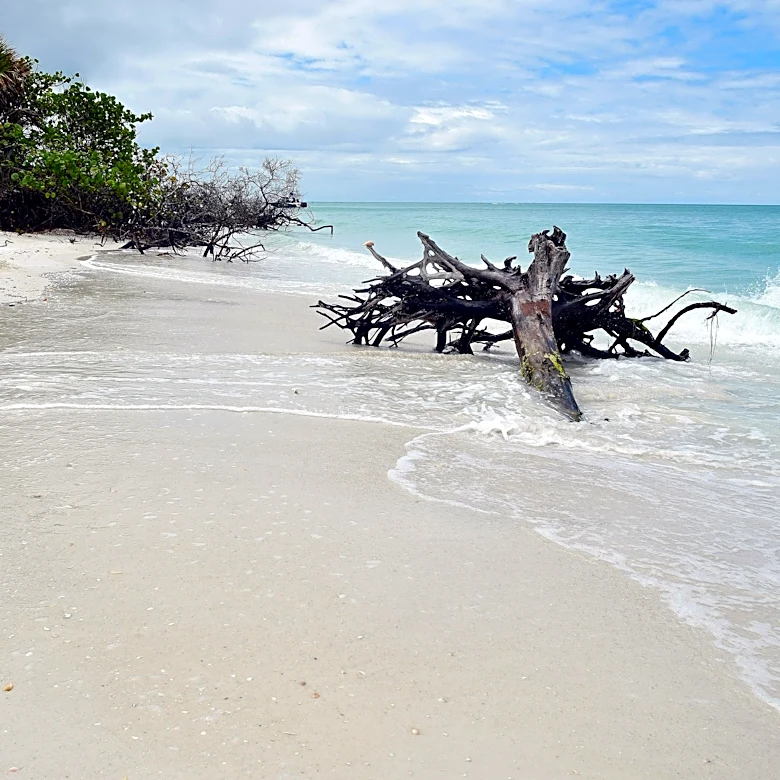 Sarasota health officials lift swim advisory at North Lido Beach