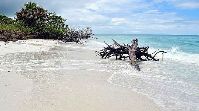 Sarasota health officials lift swim advisory at North Lido Beach
