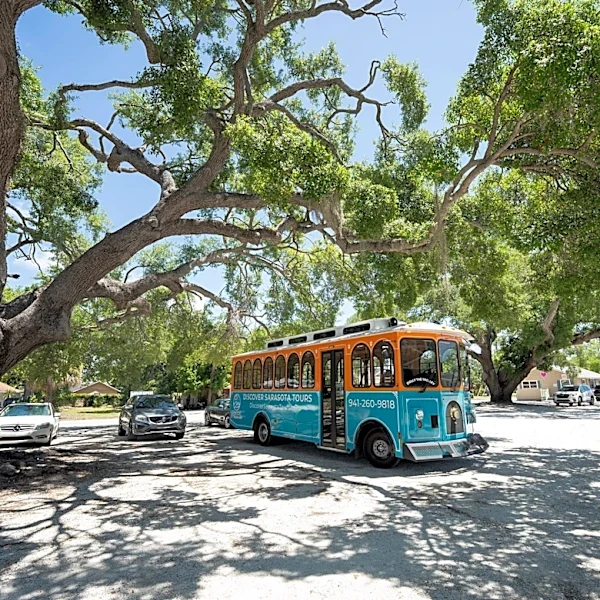 Two grand trees saved from major downtown Sarasota development