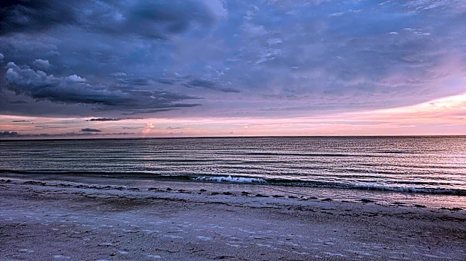 Man drowns near Lido Beach in Sarasota