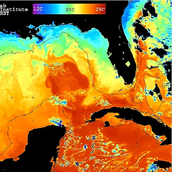 A warmer Gulf of Mexico is a big deal for Florida | Opinion