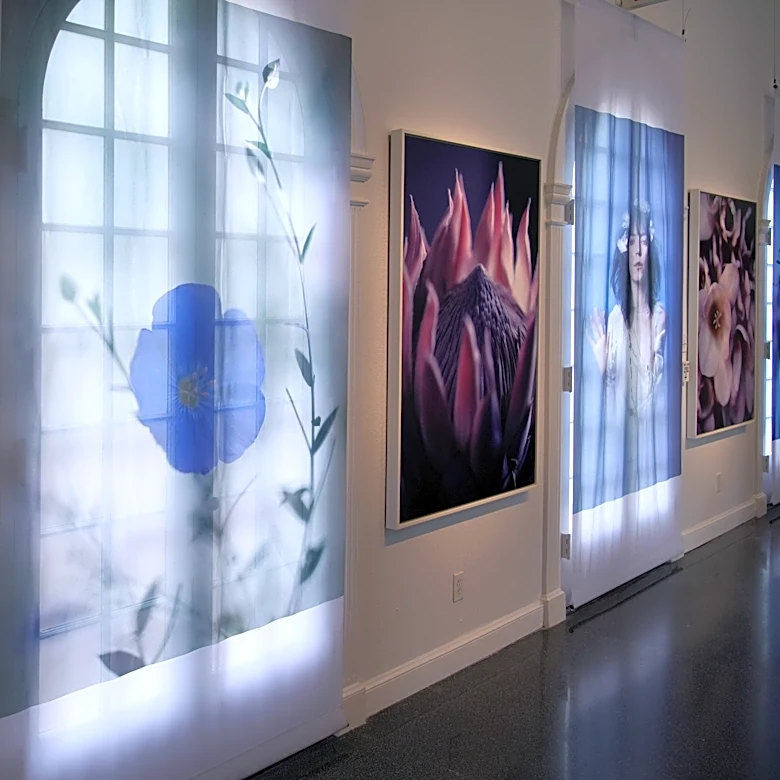 5 Sarasota-area arts events to catch before they disappear